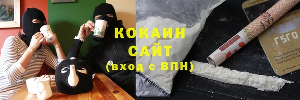 мдпв Михайлов