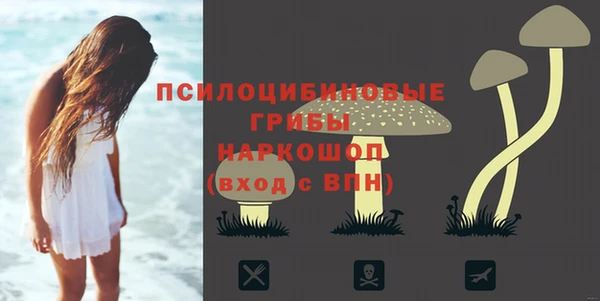 мдпв Михайлов