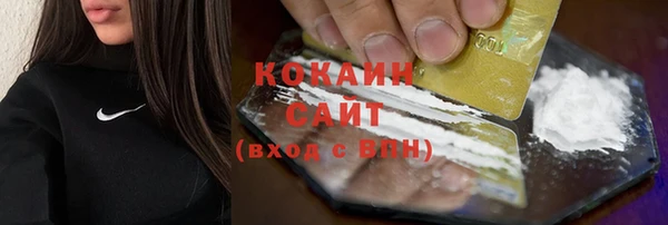 мдпв Михайлов