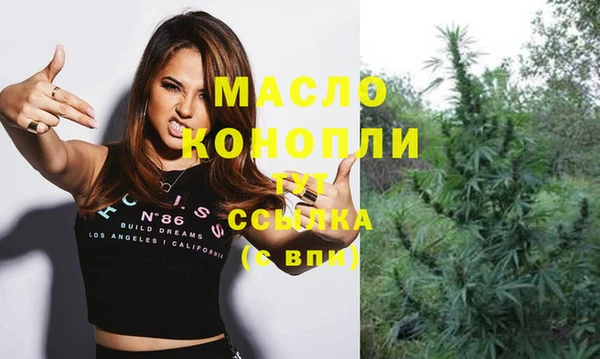 мдпв Михайлов