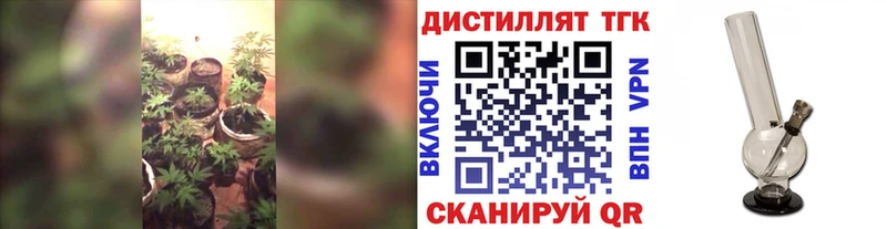 Дистиллят ТГК гашишное масло  Купить где  Порхов 